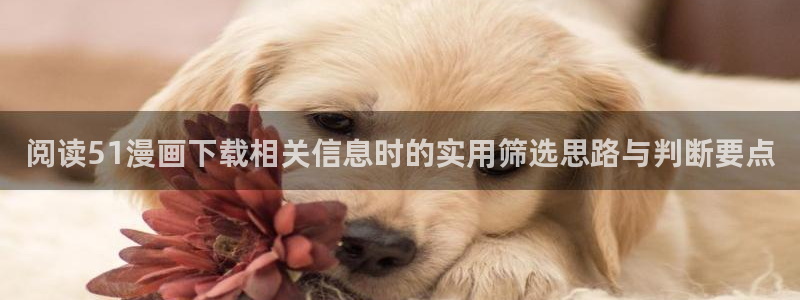 漫画免费看在线免费阅读